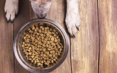 Premium Nutrition Pet Food