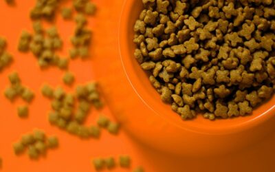 Dog and Cat Food Menlyn