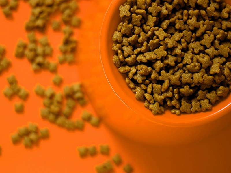 Dog Food in Menlyn