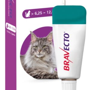 Bravecto Cat Large 6.25 - 12.5Kg 1`s