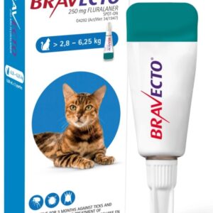 Bravecto Cat Medium 2.8 - 6.25Kg 1`s