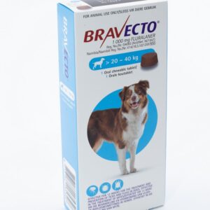 Bravecto Dog Large 20 - 40Kg Blue 1`s