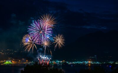 Managing Firework Anxiety in Pets
