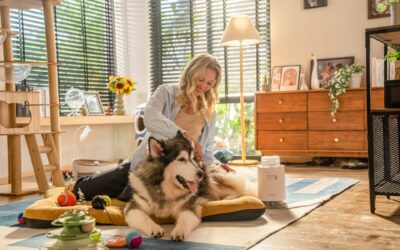 Must-Have Grooming Tools for Busy Pet Parents