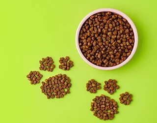 How to Read a Dog Food Ingredient List: A Plain-Language Guide for SA Pet Owners
