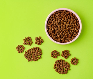 Guide to reading dog food ingredient lists for South African pet owners
